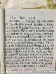 小学生作文爆料视频  第3张