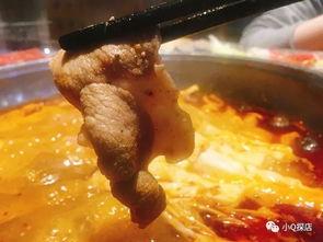 网红爆料广深虾酱视频,广深虾酱背后的秘密，视频曝光令人震惊！  第3张